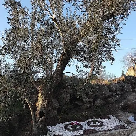 Cantinho Da Pereira * Lugar