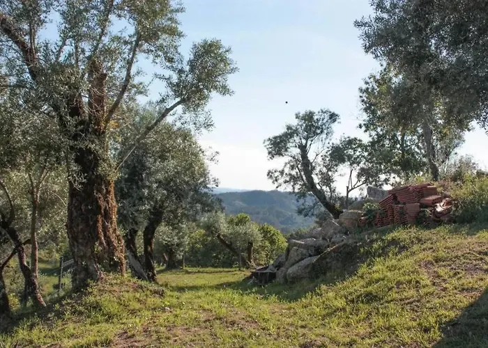 Cantinho Da Pereira Casa de Férias *